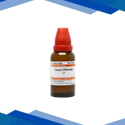 Dr.Willmar Schwabe Galega Officinalis Ø Liquid 30 ml