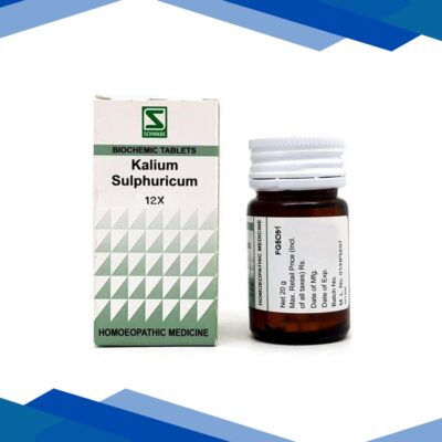 Dr.Willmar Schwabe Kali Sulphuricum 12X Tablet 20 gm