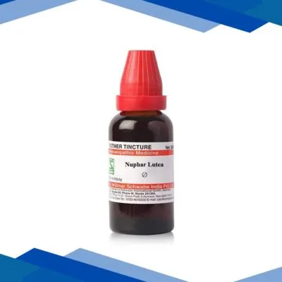 Dr.Willmar Schwabe Mother Tincture Nuphar Lutea Liquid 30 ml