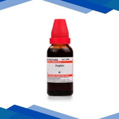 Dr.Willmar Schwabe Zingiber (Zingiber Officinale) Ø Drops 30 ml