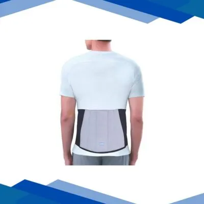 Dynamic Dyna DS Back Support (1373) (S)