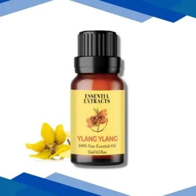 Essentia Extracts Pure Essential Oil – Ylang Ylang 15 ml