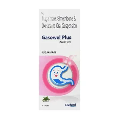 GASOWEL PLUS SUGAR FREE MINT FLAVOUR Oral Suspension 170ml