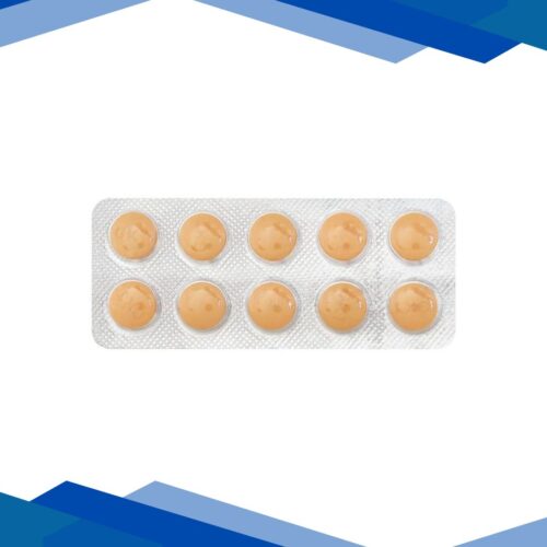 Ginkocer Tablet 10’S