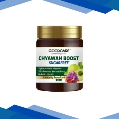 Goodcare Chyawan Boost SugarFree 500 g