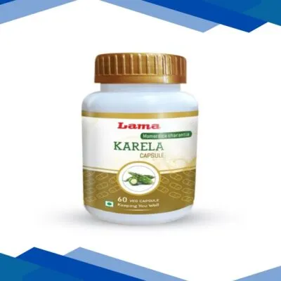 Lama Karela Capsule 60’s