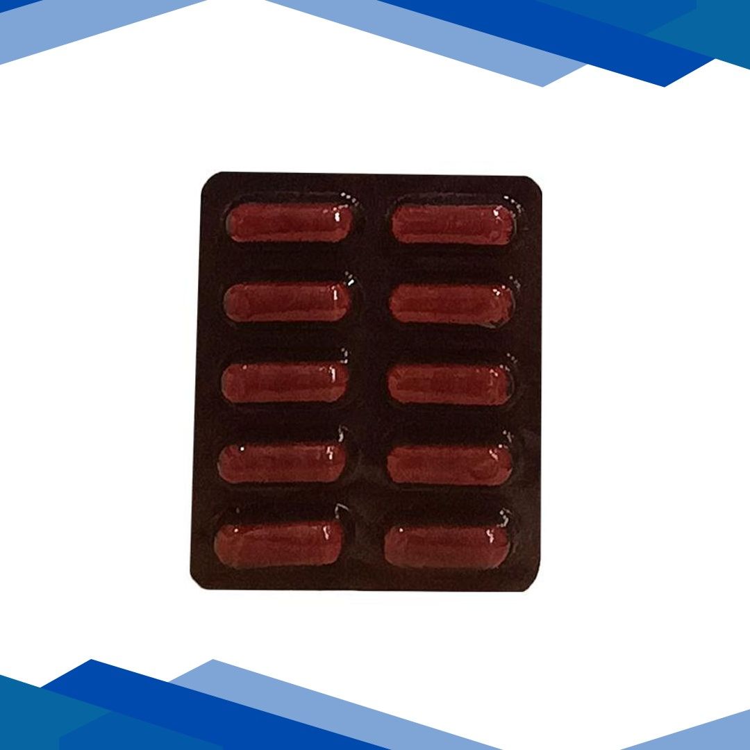 Lama Shilajit Capsule 10’s