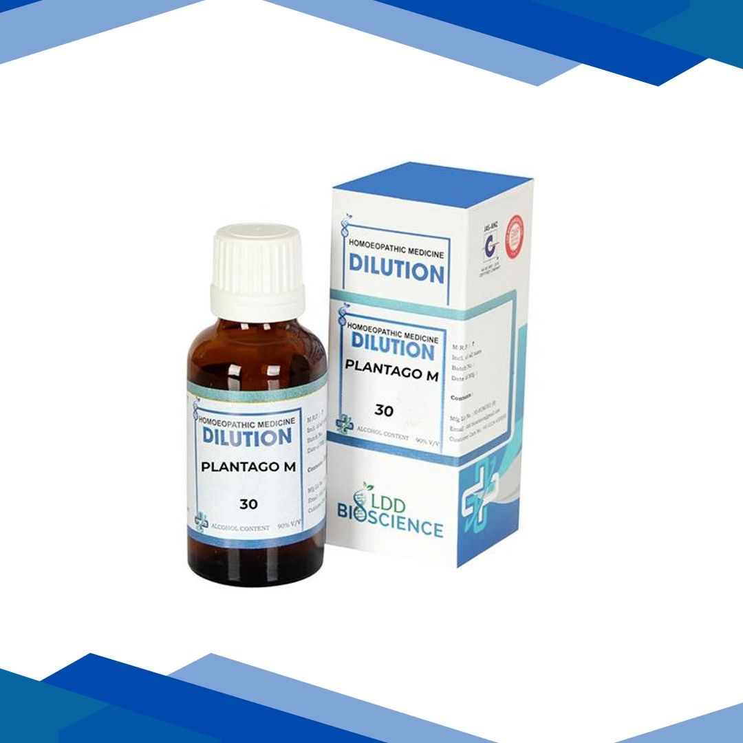 LDD Bioscience Dilution Plantago M 30 Liquid 30 ml