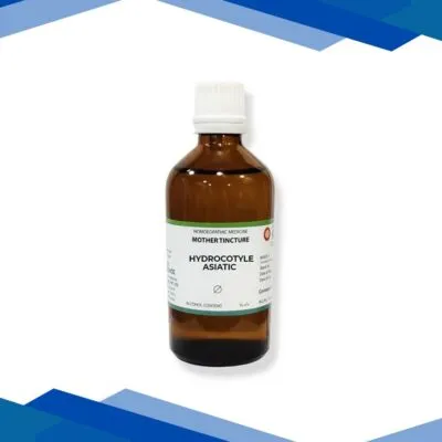 LDD Bioscience Mother Tincture Hydrocotyle Asiatic Q Liquid 100 ml