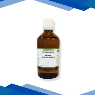 LDD Bioscience Mother Tincture Thuja Occidentalis Q Liquid 100 ml