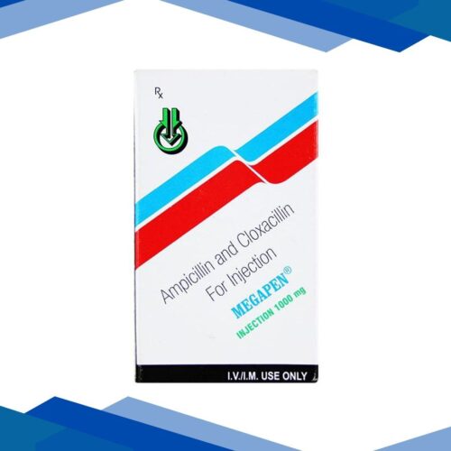 Megapen 1gm Injection 1's