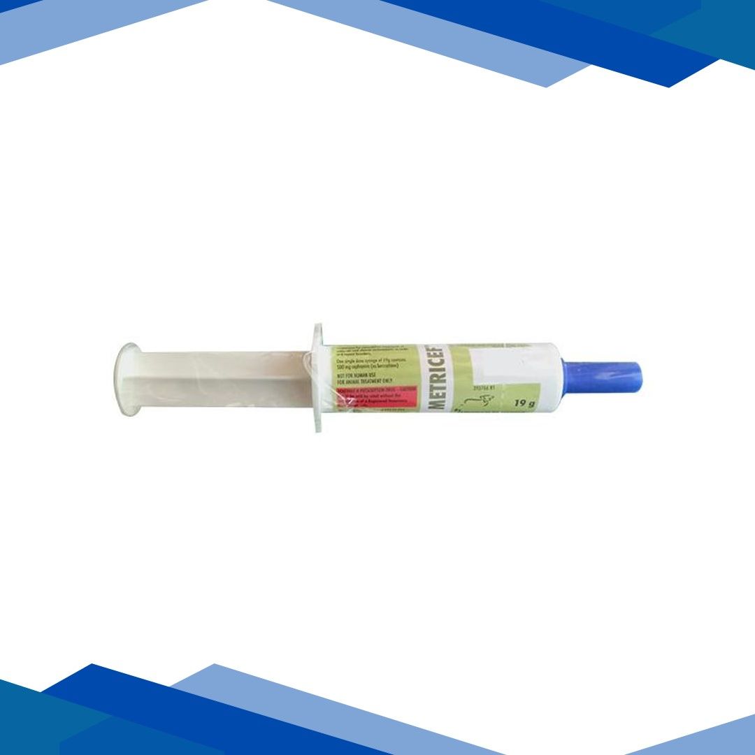 METRICEF (VET) PREFILLED Suspension 19g