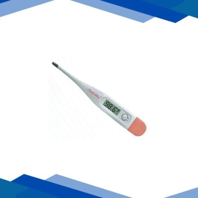 Naulakha Digi Temp Digital Thermometer (NI 401)