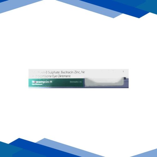 NOSRAMYCIN H Eye Ointment 5g