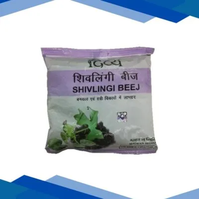 Patanjali Shivlingi Beej Powder 100 gm