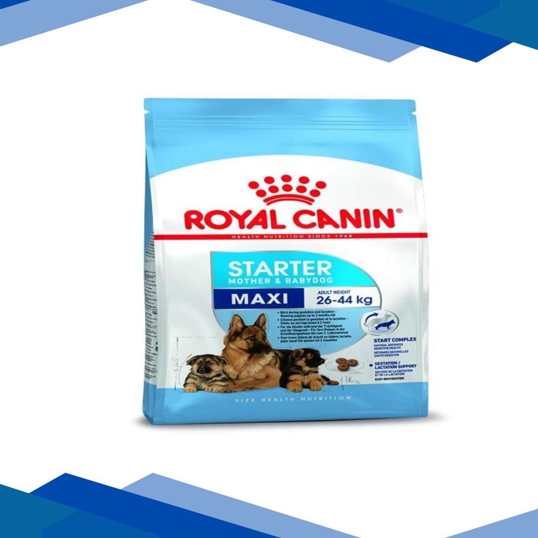 Royal Canin Maxi Starter Mother & BabyDog Dry Dog Food – (Adult Weight 26-44) 4 kg