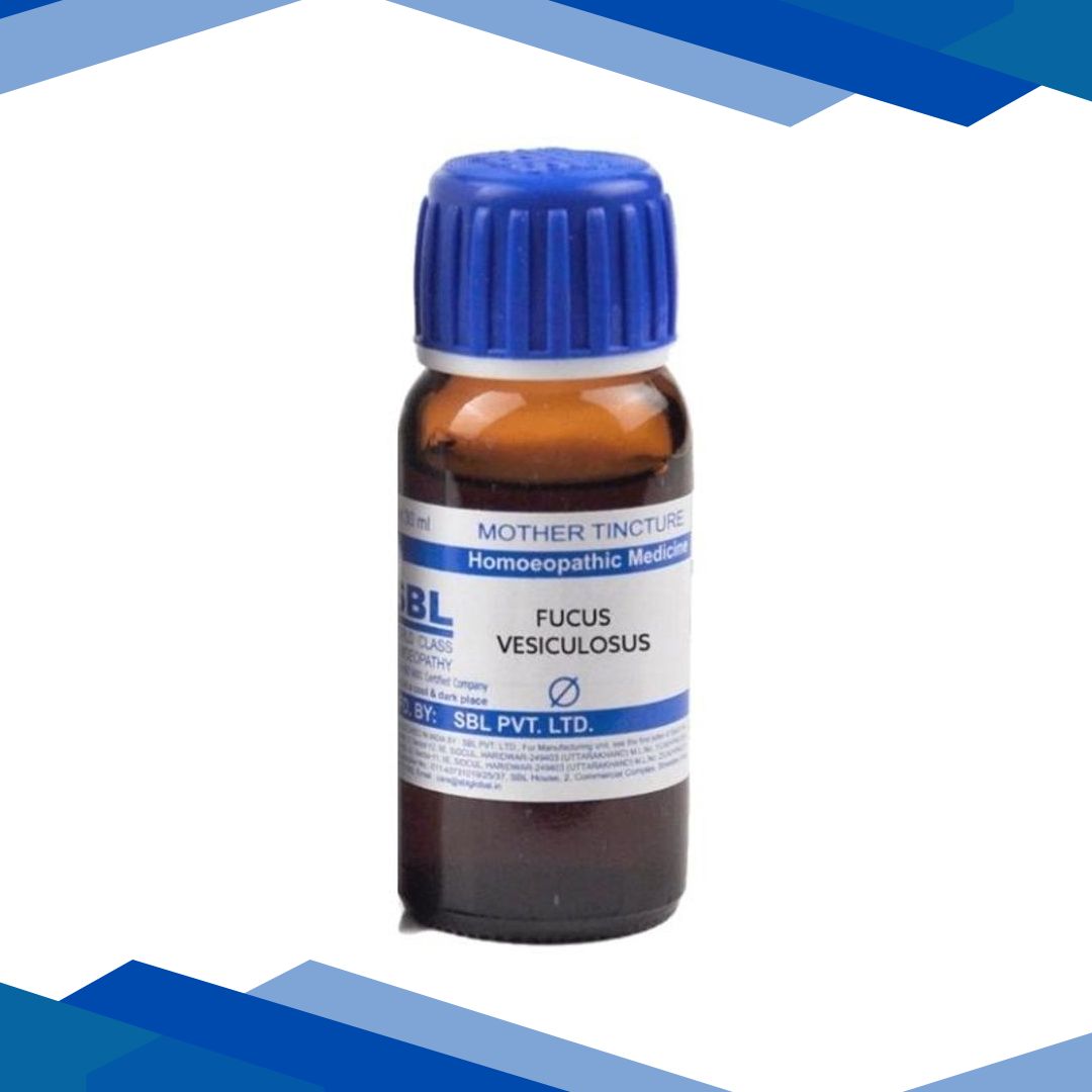SBL Fucus Vesiculosus Q Liquid 30 ml