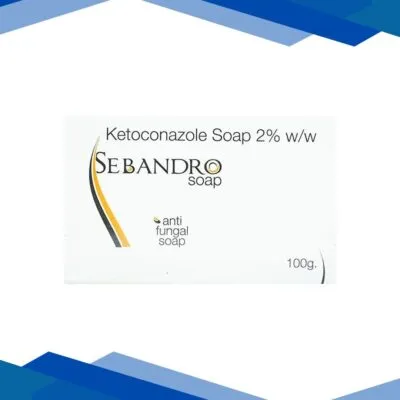SEBANDRO Soap 100gm