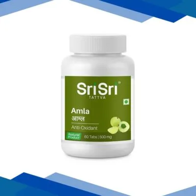 Sri Sri Tattva Amla 500 mg Tablet 60’s