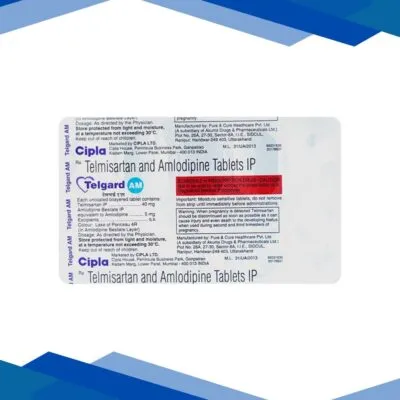 TELGARD AM Tablet 10’s