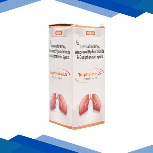 TERPHYLATE LS Syrup 100ml