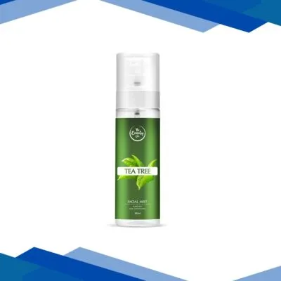 The Beauty Co. Facial Mist – Tea Tree 100 ml
