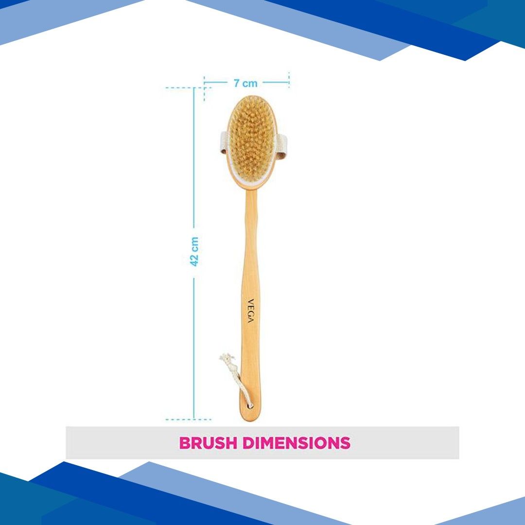 Vega Natural Bristle Bath Brush (NBA – 1/3) 1’s