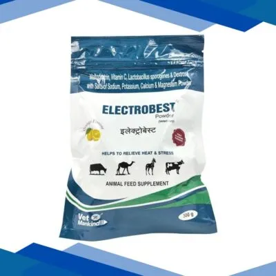 Vet Mankind Electrobest Powder – Orange 300 gm