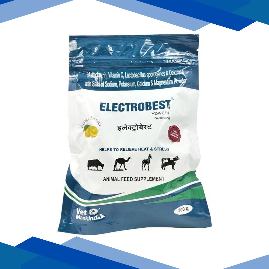 Vet Mankind Electrobest Powder – Orange 300 gm