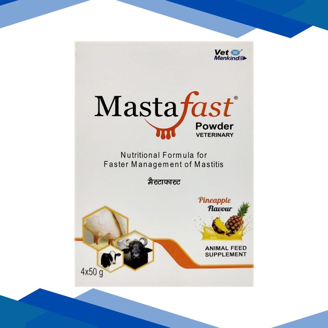 Vet Mankind Mastafast Powder – Pineapple 50 gm