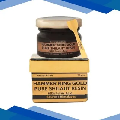 Vigini Hammer King Gold Shilajit Powder 20 gm
