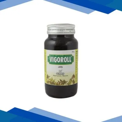 Vigoroll Jelly 450G