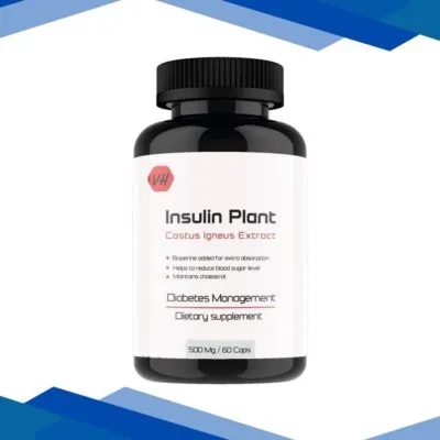 Vitaminhaat Insulin Plant Costus Lgeus Extract Capsules 60’s