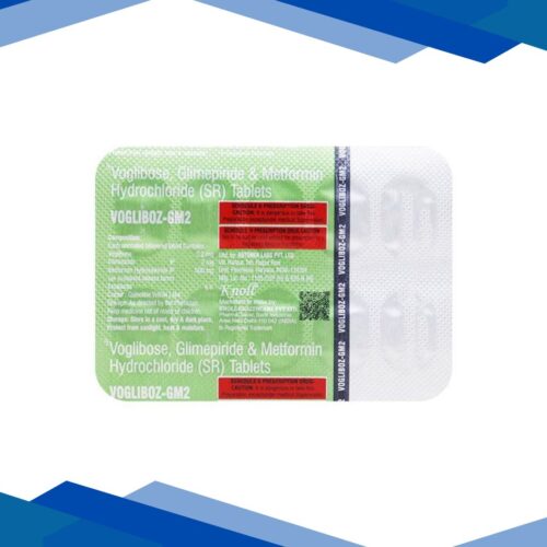 VOGLIBOZ GM2 Tablet 10’s